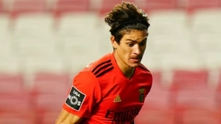 Darwin Núñez, jugador del Benfica: As