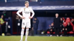 Fede Valverde, Real Madrid player
