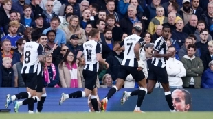<p>The Newcastle players celebrate a goal.</p>