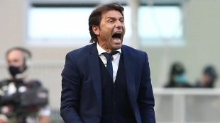 Antonio Conte, Napoli's coach