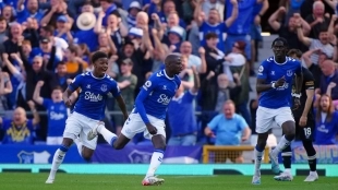 The Everton players celebrate a goal