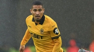 Joao Gomes, midfielder for Wolves