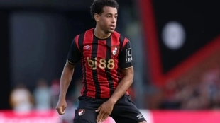 El Liverpool va por el fichaje de Tyler Adams